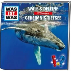 Tonies Was Ist Was - Wale & Delfine / Geheimnis Der Tiefsee, Spielfigur -Tonies Geschäft für Kinderprodukte Tonies Was ist Was Wale Delfine Geheimnis der Tiefsee Spielfigur@@1568569 2